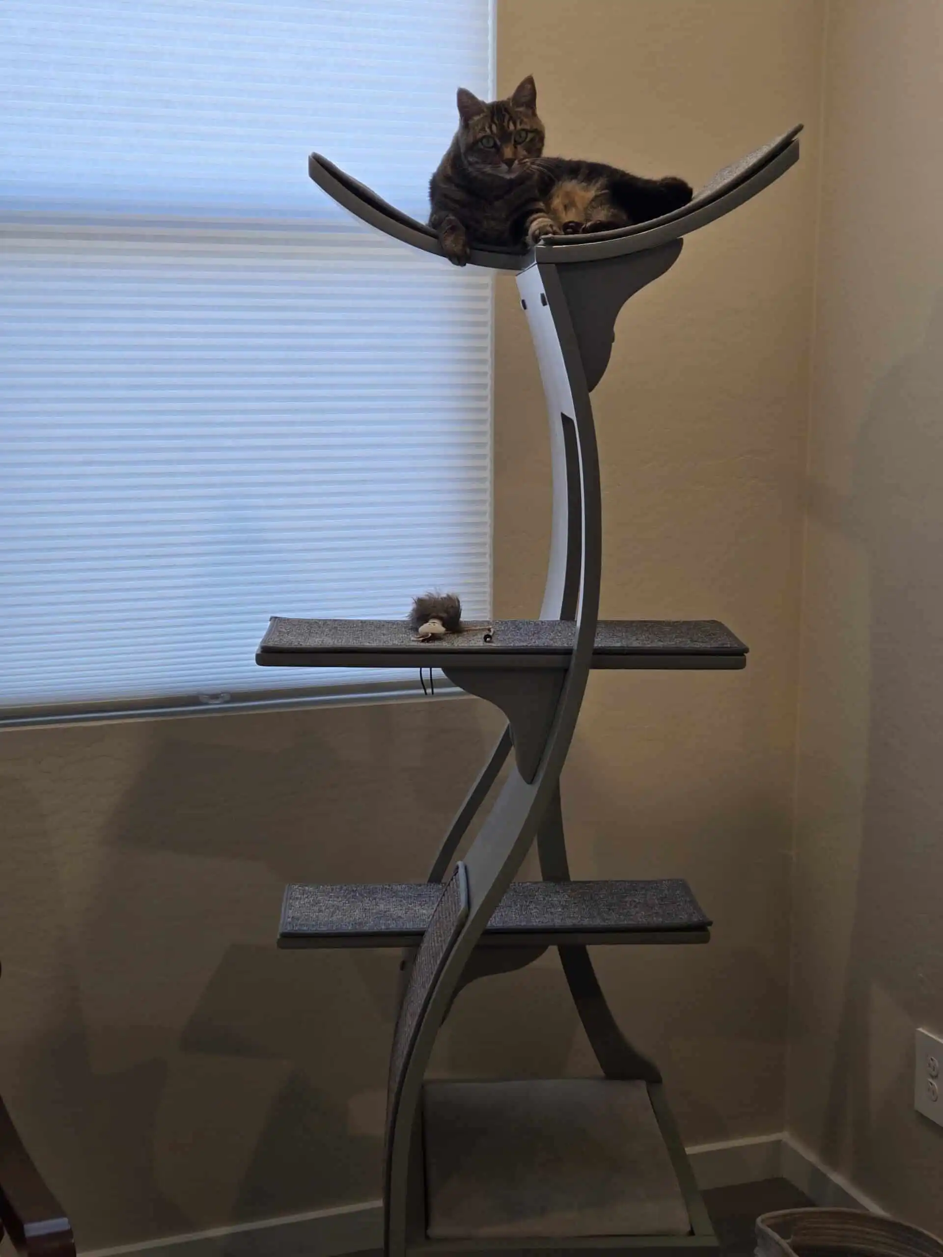 Tabby cat lounges on the Lotus Cat Tower by Paula Krone; toy mouse sits on lower shelf near window with closed blinds.