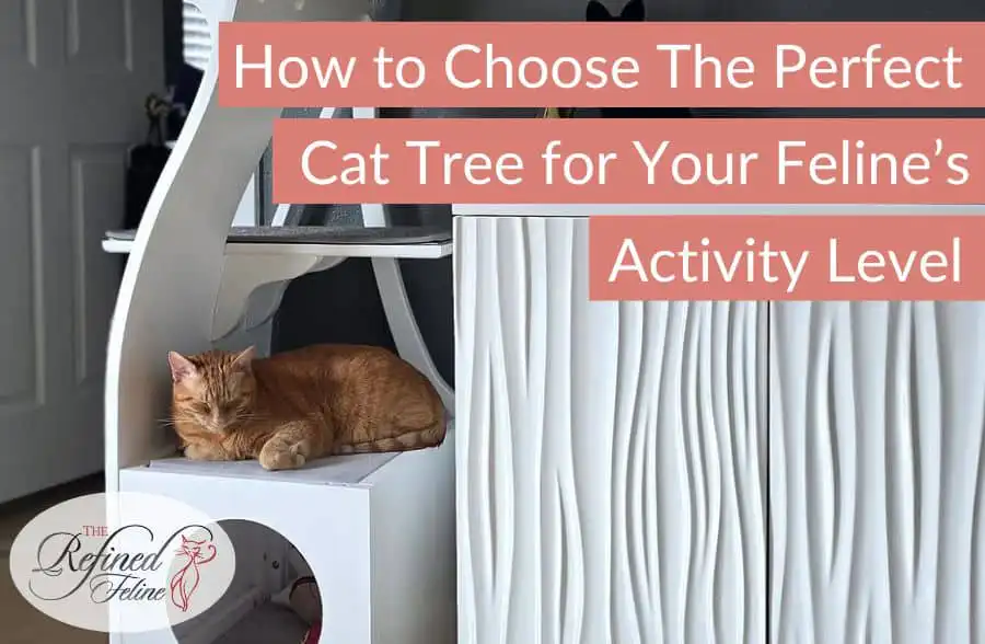 Orange cat lounging on a white cat tree by a cabinet, with product text: How to Choose The Perfect Cat Tree.