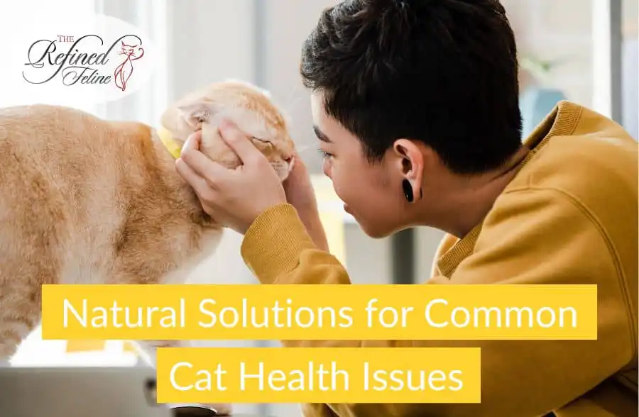 Person gently inspecting a cat's face indoors; text overlay reads "Natural Solutions for Common Cat Health Issues.