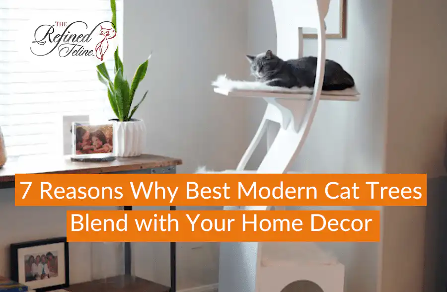 Gray cat on white modern cat tree in sunny living room with plant, framed photos. Text: 7 Reasons Why Modern Cat Trees Blend Seamlessly with Your Home Decor.