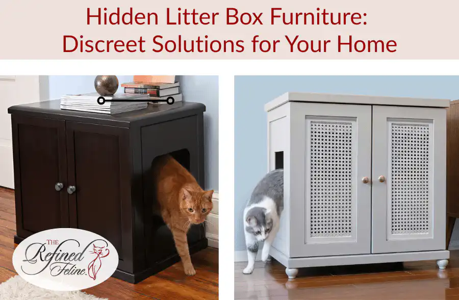 Two cats use hidden litter box enclosures, one dark wood and one light gray, styled as discreet cat furniture.