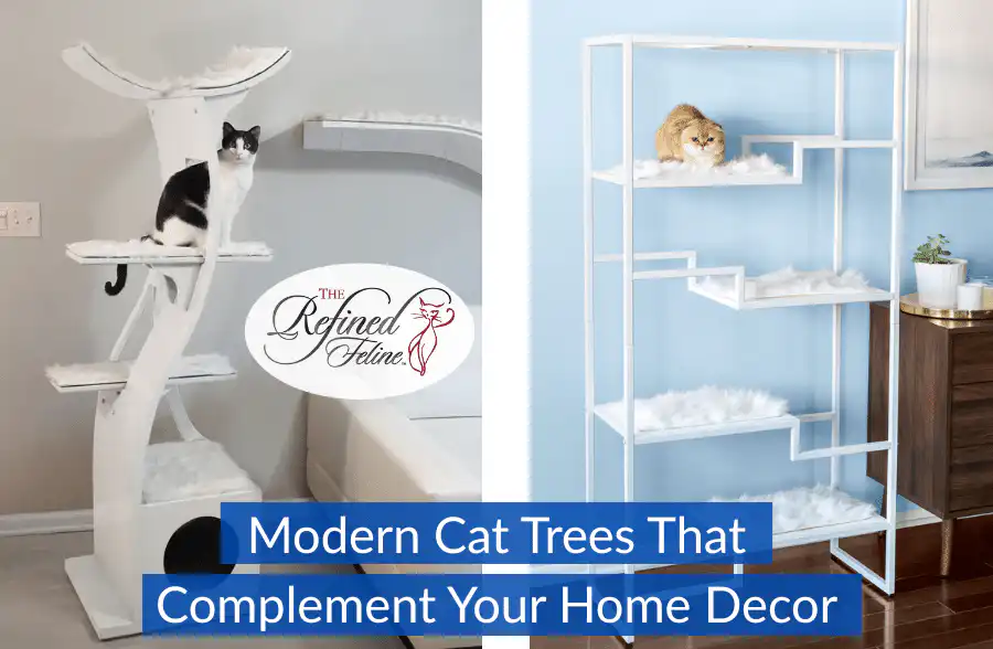 Two minimalist cat trees with white faux fur bedding, each with a lounging cat, set in modern home interiors.