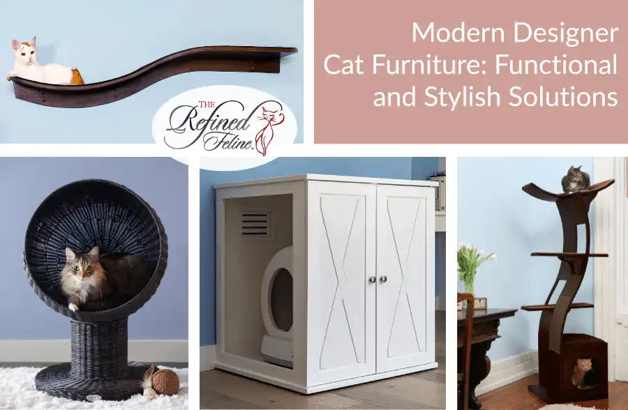Collage shows cats on modern wall shelves, a wicker bed, a white litter box cabinet, and a tall cat tower; promo text visible.