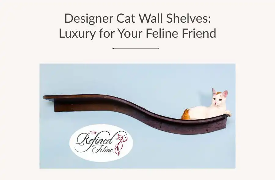 White and orange cat relaxing on a curved dark wood shelf, light blue wall behind, text above: Designer Cat Wall Shelves.