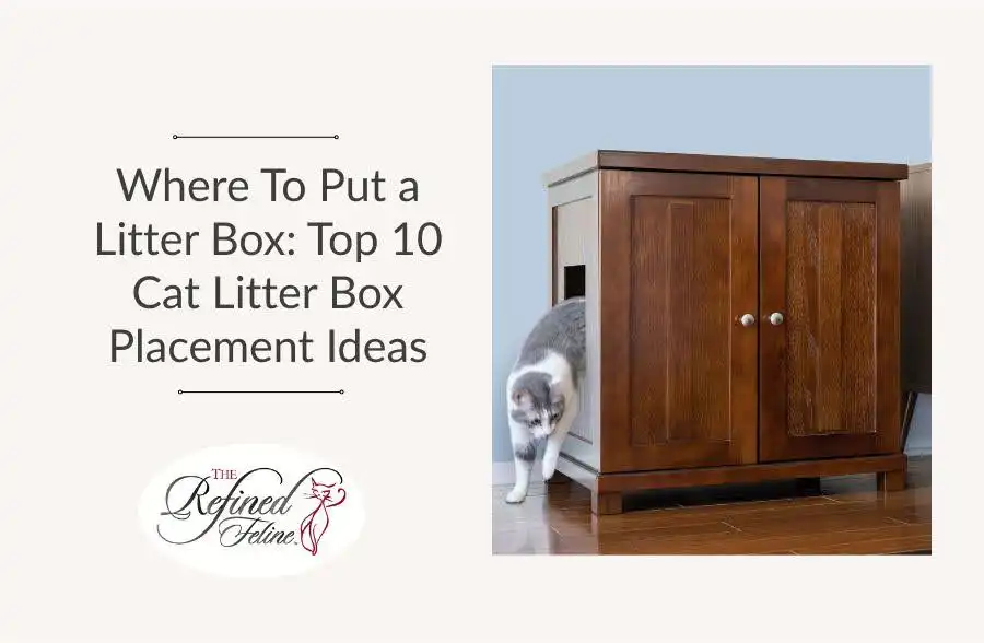 Cat leaving a litter box inside a wooden cabinet, beside text listing the top 10 litter box placement ideas.