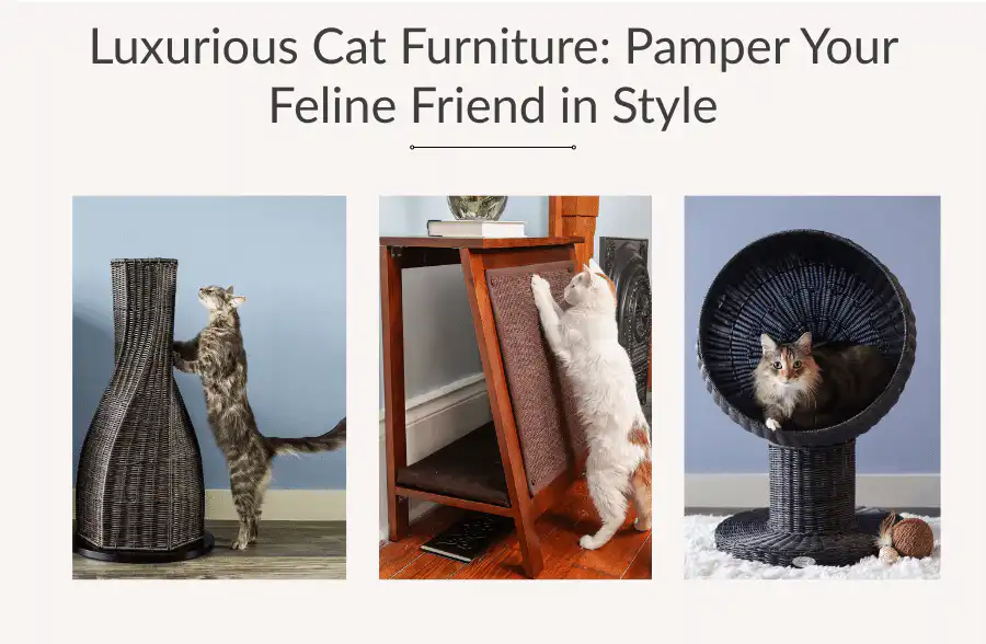Cats relaxing on woven cat furniture: scratching post, side table with a cushion, and an enclosed round cat bed.