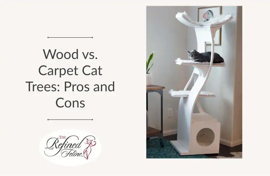 Gray cat lies on a modern white wooden cat tree next to a small table with a plant. Text: Wood vs. Carpet Cat Tree: Pros and Cons.