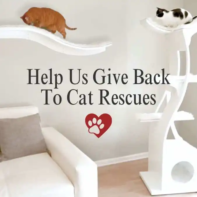 Two cats relax on white cat furniture above text, “Help Us Give Back To Cat Rescues,” with a red paw print below.