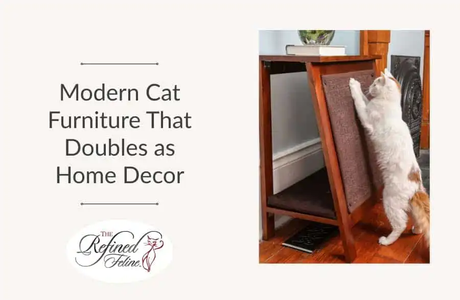 White and orange cat scratches modern wood and carpet cat furniture beside a small table; text promotes stylish decor options.