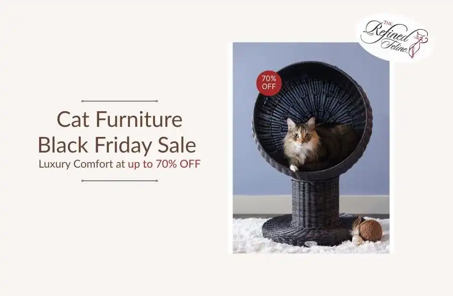 Cat lounging on modern cat furniture next to bold "Black Friday Sale, up to 70% OFF" text.