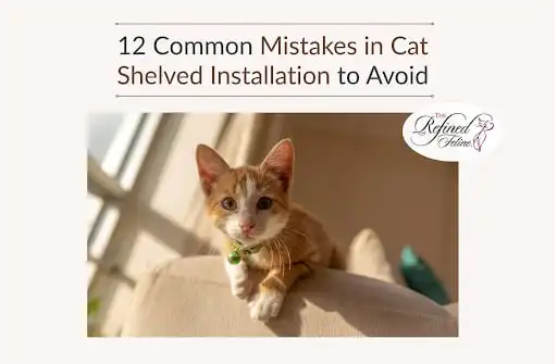 Orange and white kitten sitting on a beige couch under text reading: 12 Common Cat Shelf Installation Mistakes to Avoid.