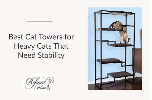 A multi-level black cat tower beside text on stability; a cat climbs down from the top, showing its sturdy design.