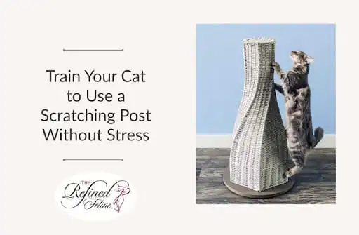 Cat scratching a tall, modern post beside text: Train Your Cat to Use a Scratching Post the Stress-Free Way.