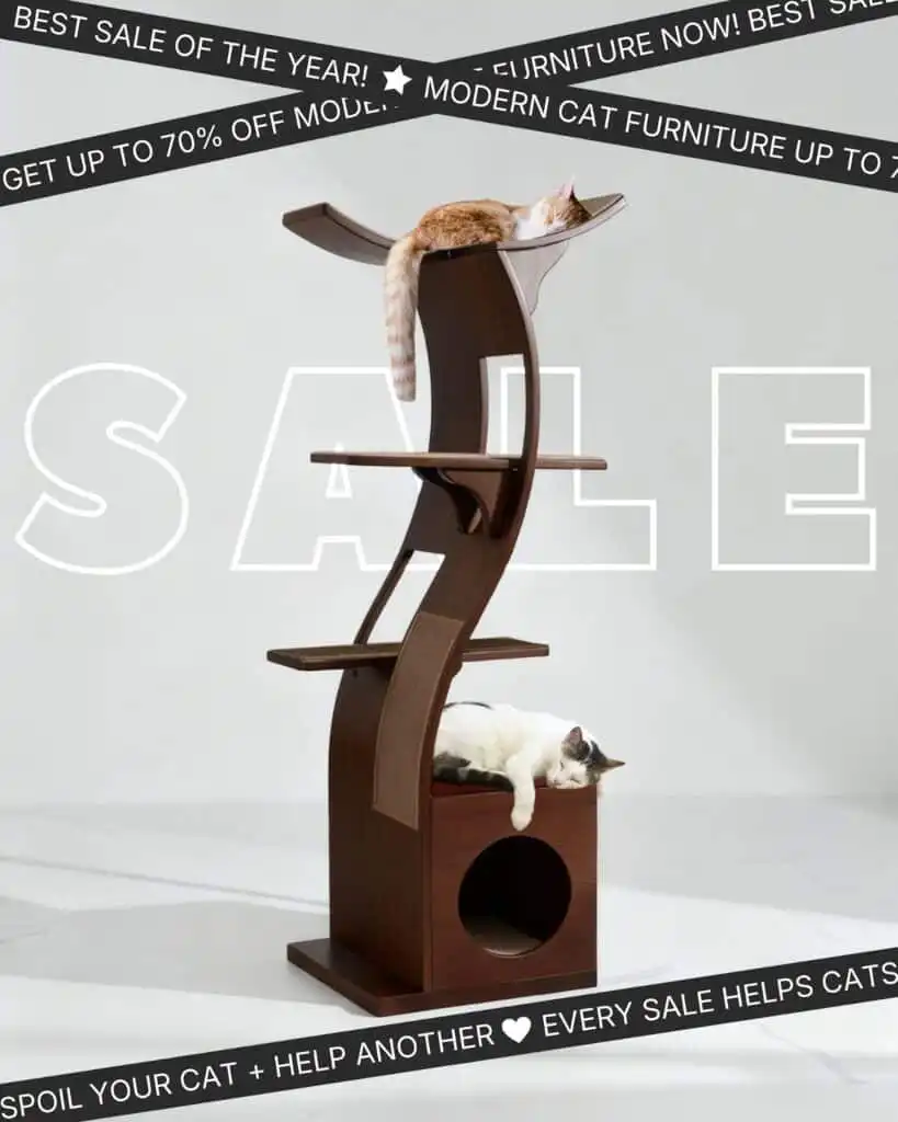 Two cats rest on a cat tower, one on top and one at the base, with Black Friday Sale banners across the scene.