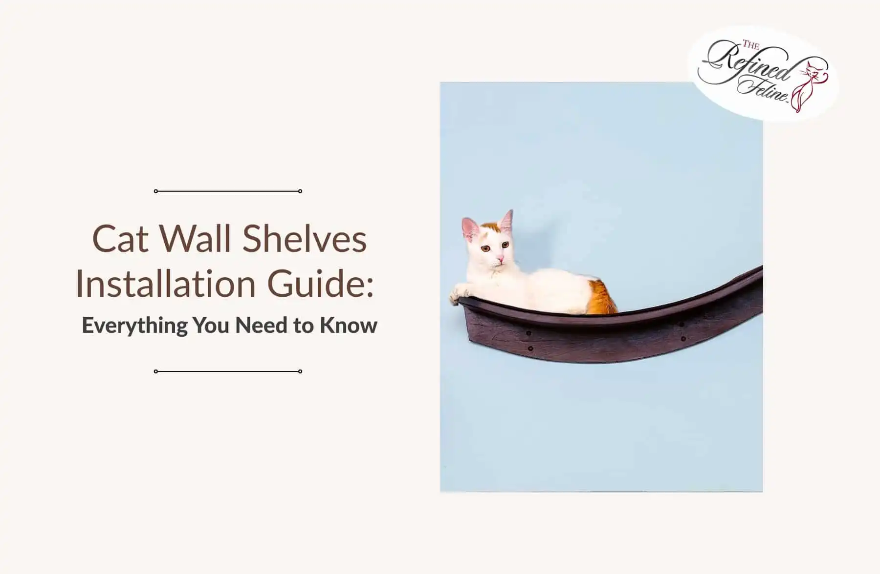 White cat resting on a dark wall shelf, light blue background. Text: Cat Wall Shelves Installation Guide.