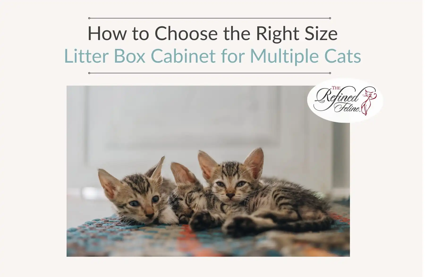 Three tabby kittens on a rug below text: "How to Choose the Right Size Litter Box Cabinet for Multiple Cats," and The Refined Feline logo.
