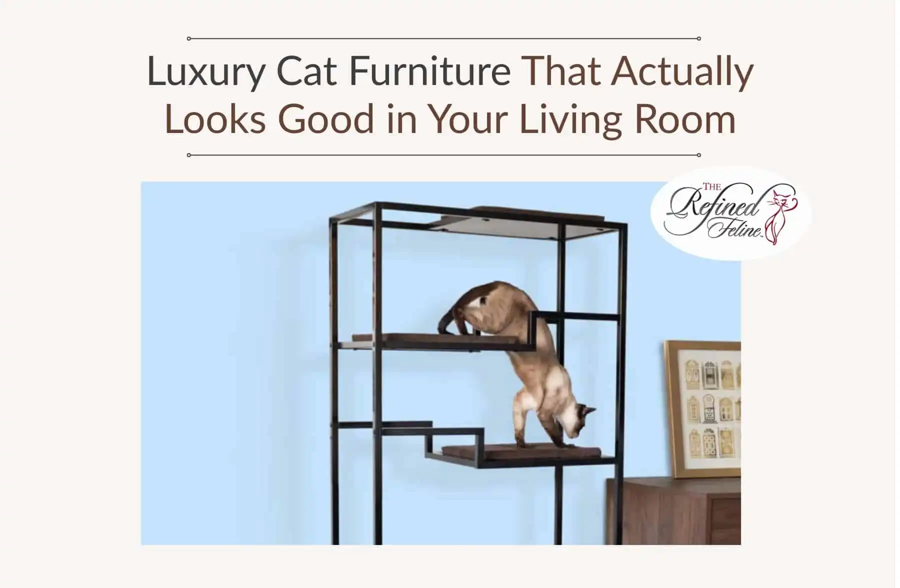 Two cats climb a modern, multi-level cat tower with metal frame and wood platforms set against a light blue wall.