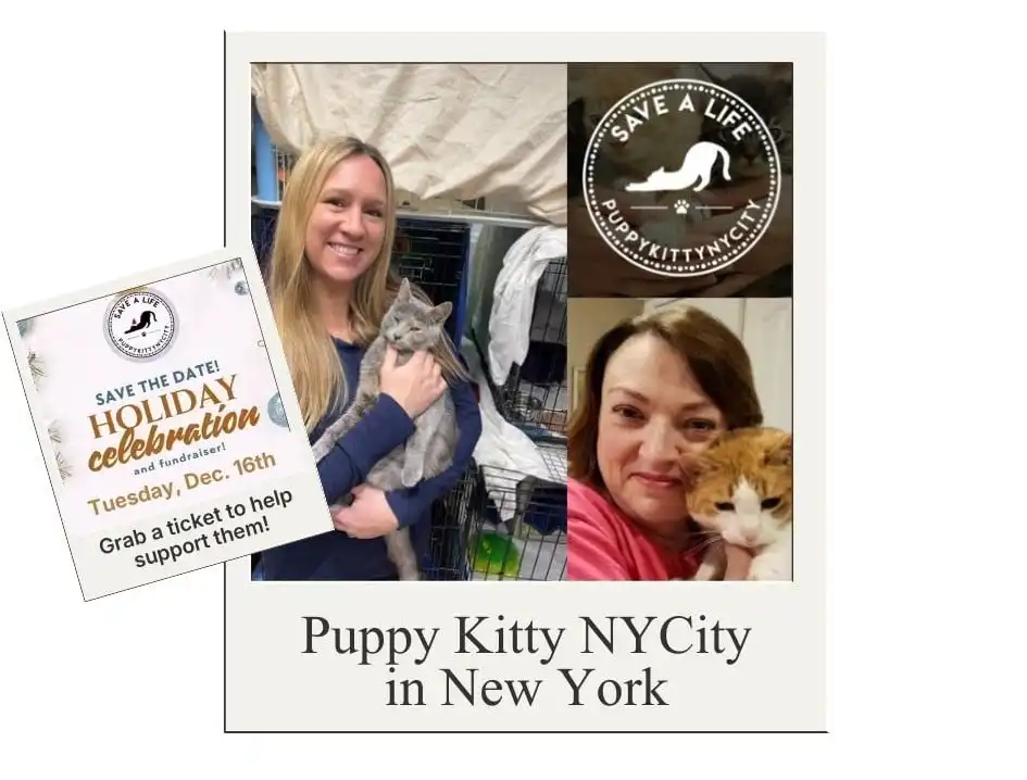 Puppy Kitty NYCity