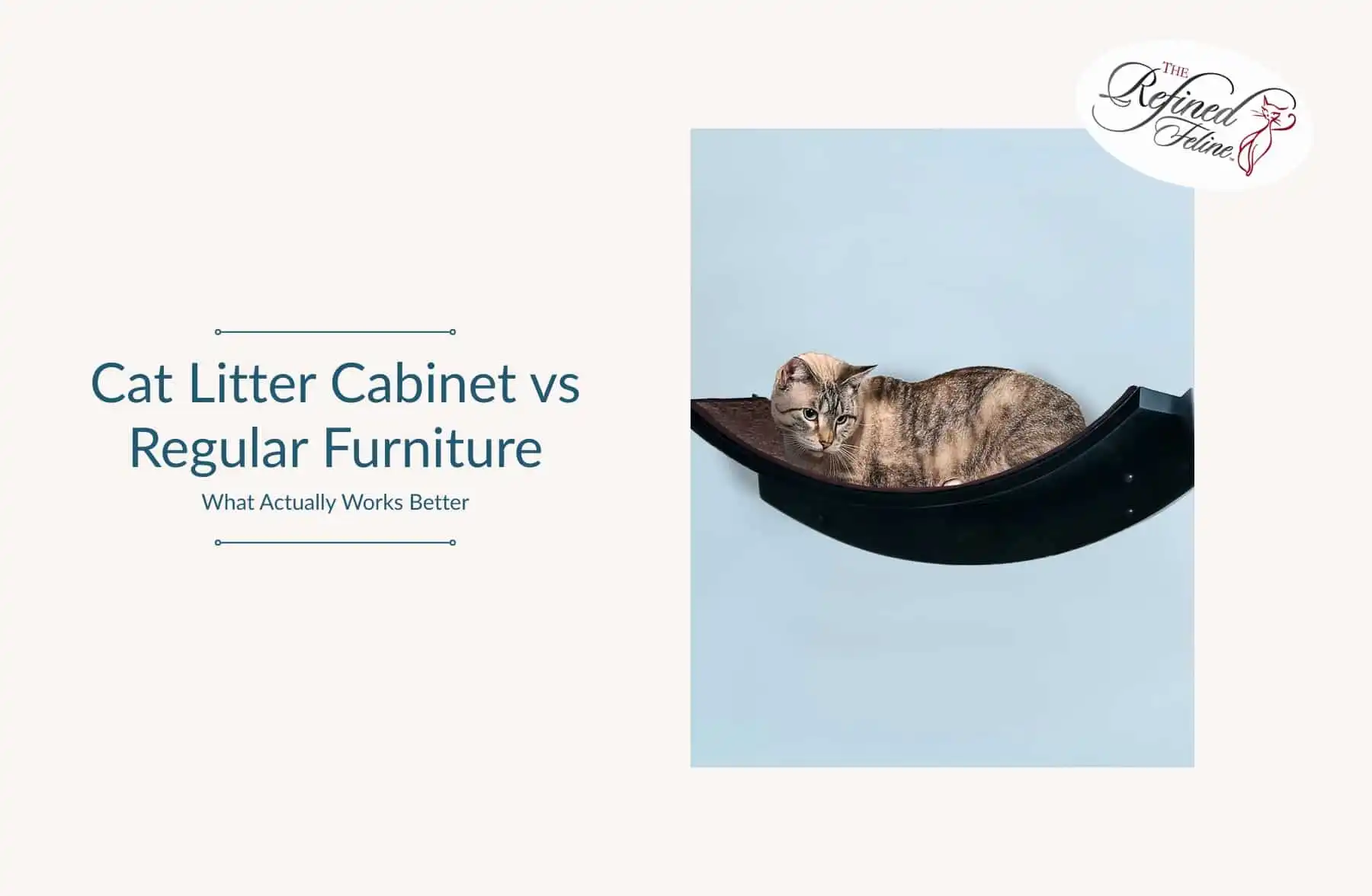 Tabby cat lying on a black wall shelf beside text: “Cat Litter Cabinet vs Regular Furniture: What Actually Works Better.”.
