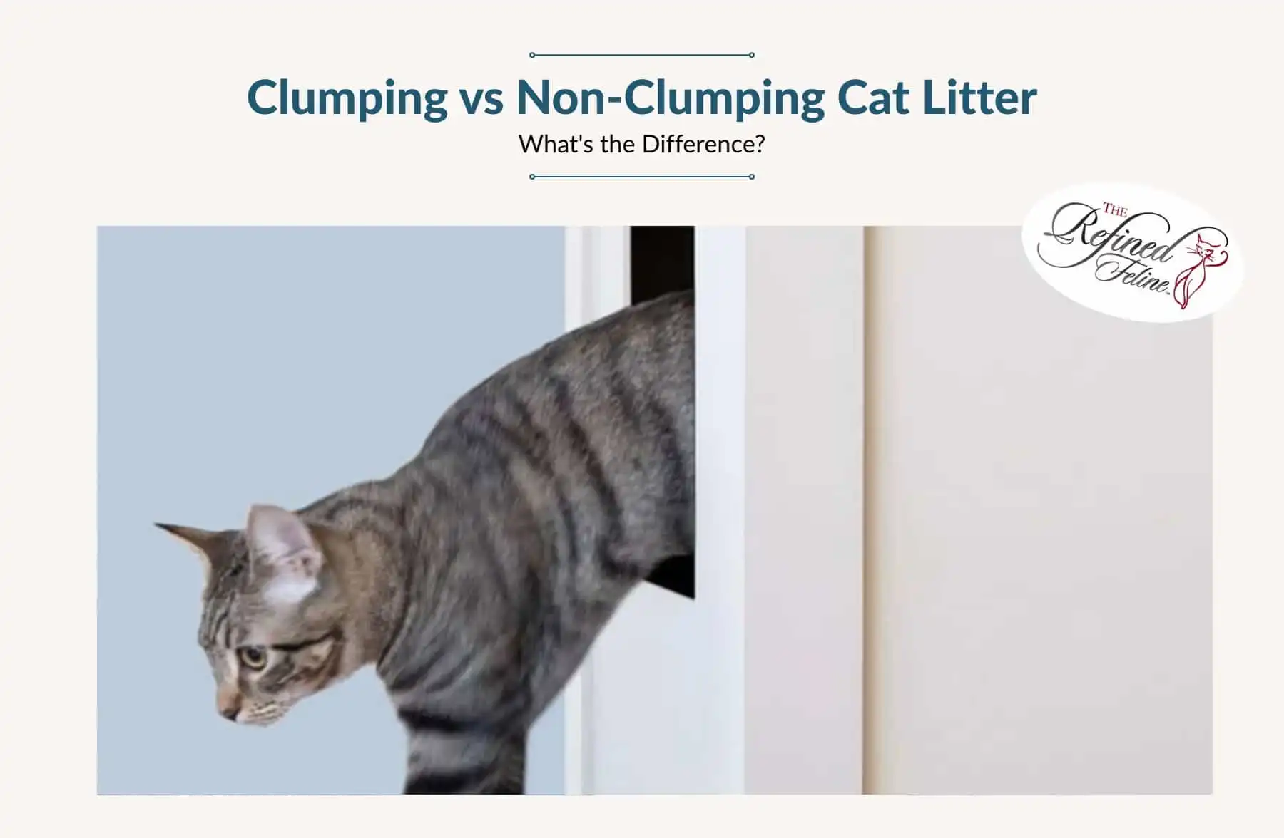 Gray tabby cat steps from a white door near modern cat furniture; above, text and The Refined Feline logo are visible.