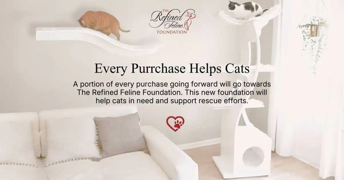 Every purchase helps cats