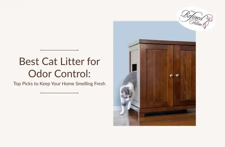 Gray and white cat leaves wooden litter box near text about best odor control litter; Refined Feline logo top right.