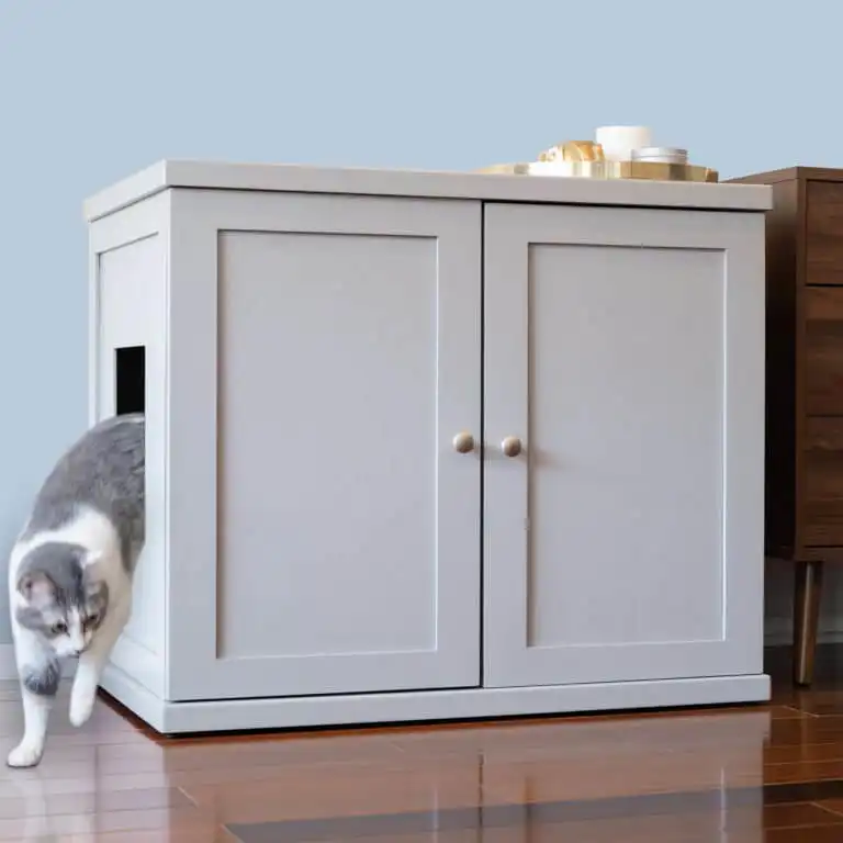 Gray and white cat exits a small door of a white litter box cabinet with tray on top, on hardwood floor.