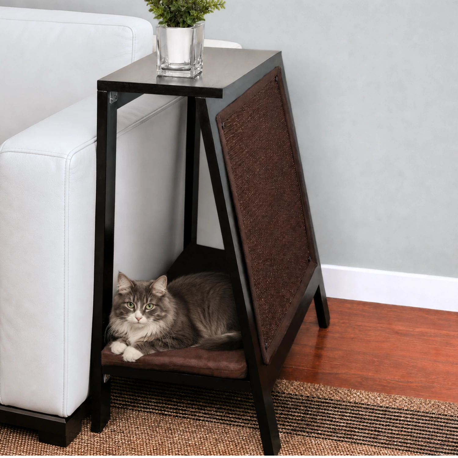 Gray and white cat on a cushion in an ebony A-frame bed under a black table with glass vase, next to a white couch on wood floor.