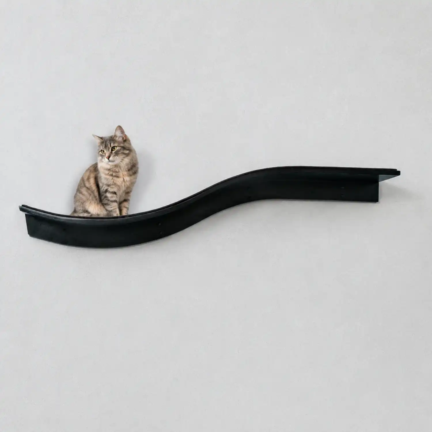 Tabby cat sitting on a dark, wave-shaped wall shelf against a plain light gray wall.
