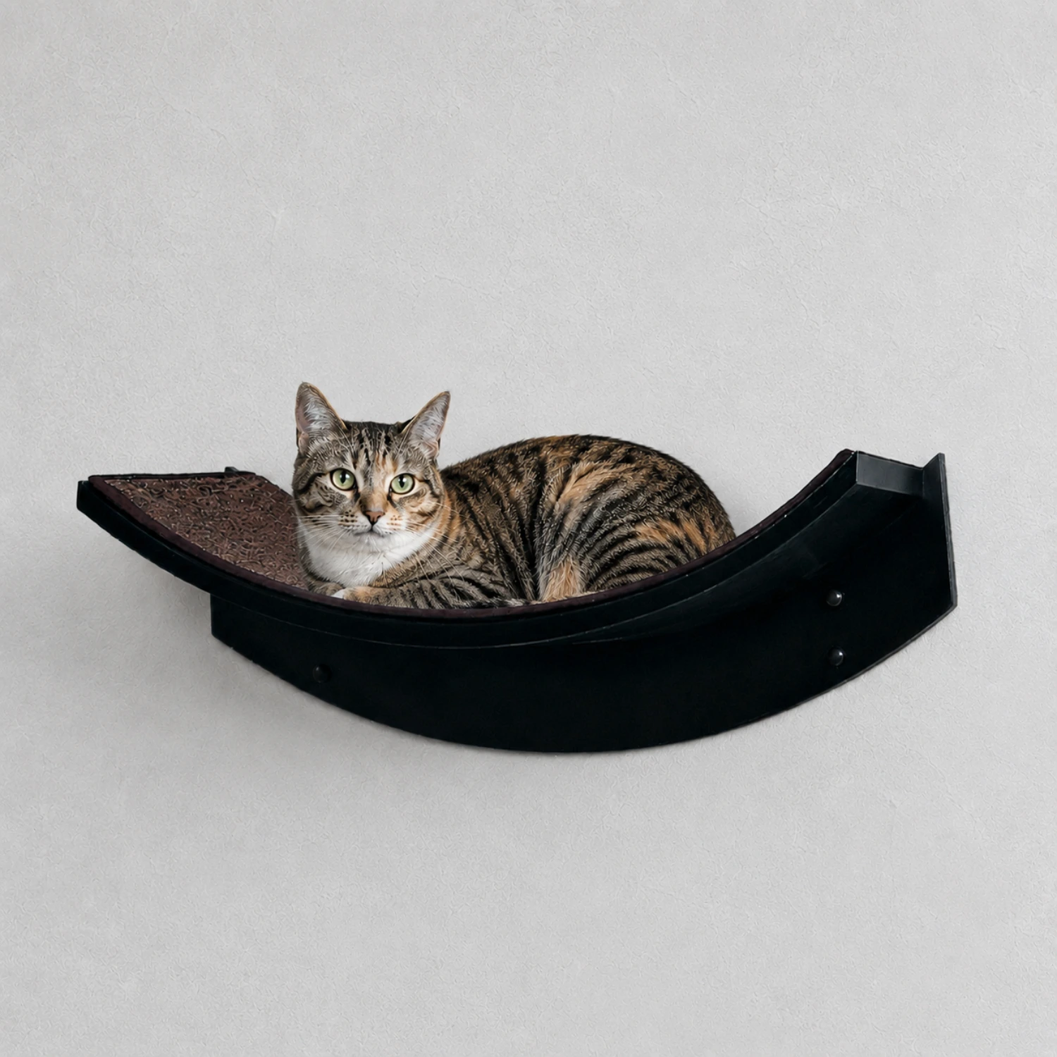 Tabby cat resting on a sleek black Lotus Leaf shelf mounted against a plain, light-colored wall.